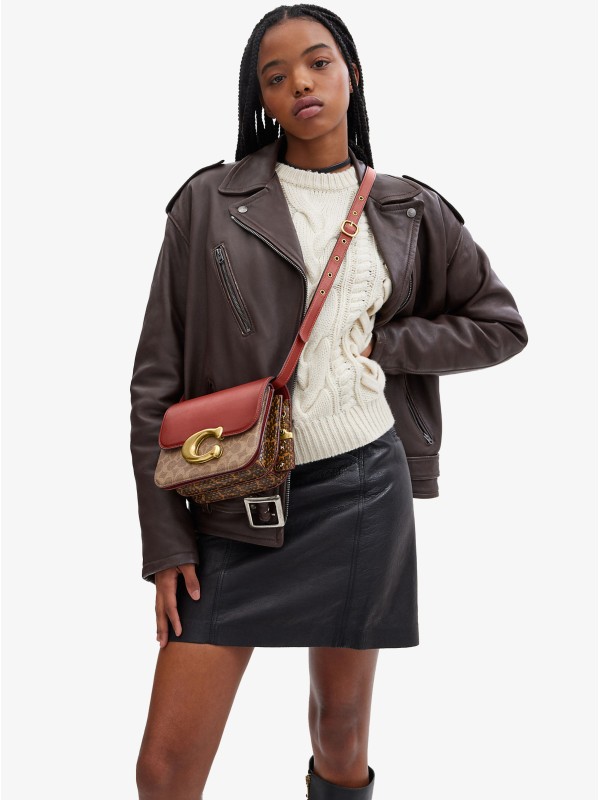 Сумка COACH Idol Crossbody Bag Сумка COACH Idol Crossbody Bag