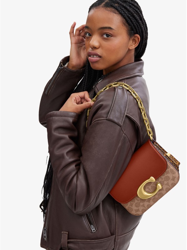 Сумка COACH Idol Crossbody Bag Сумка COACH Idol Crossbody Bag